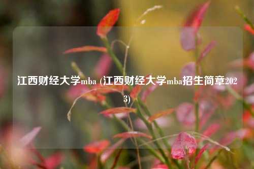 江西财经大学mba (江西财经大学mba招生简章2023)