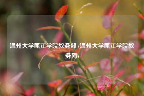 温州大学瓯江学院教务部 (温州大学瓯江学院教务网)