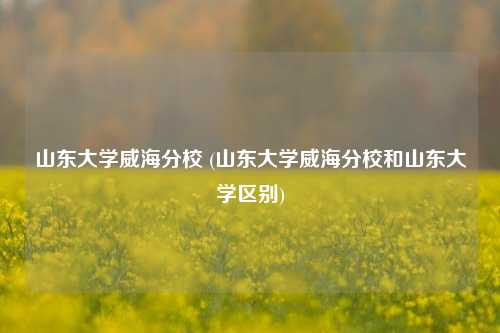 山东大学威海分校 (山东大学威海分校和山东大学区别)