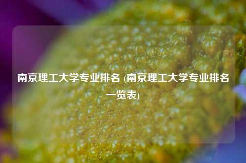 南京理工大学专业排名 (南京理工大学专业排名一览表)