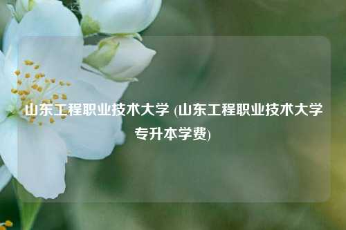 山东工程职业技术大学 (山东工程职业技术大学专升本学费)