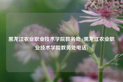 黑龙江农业职业技术学院教务处 (黑龙江农业职业技术学院教务处电话)