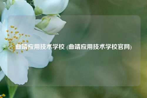 曲靖应用技术学校 (曲靖应用技术学校官网)
