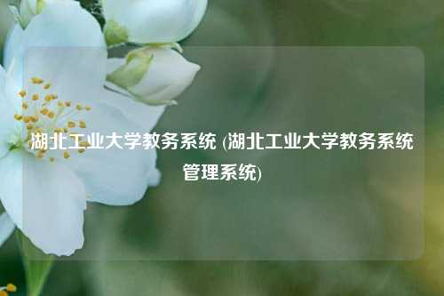 湖北工业大学教务系统 (湖北工业大学教务系统管理系统)