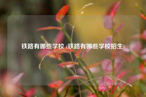 铁路有哪些学校 (铁路有哪些学校招生)