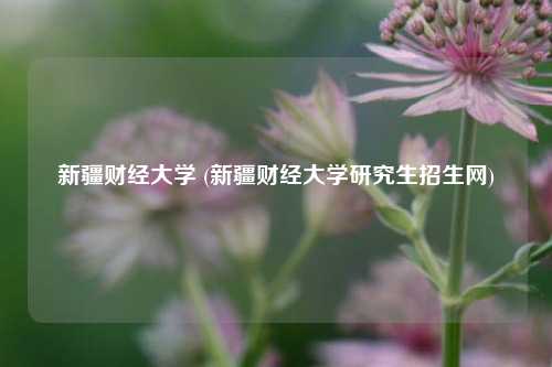 新疆财经大学 (新疆财经大学研究生招生网)