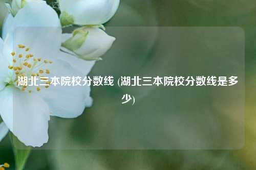 湖北三本院校分数线 (湖北三本院校分数线是多少)