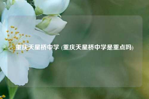 重庆天星桥中学 (重庆天星桥中学是重点吗)