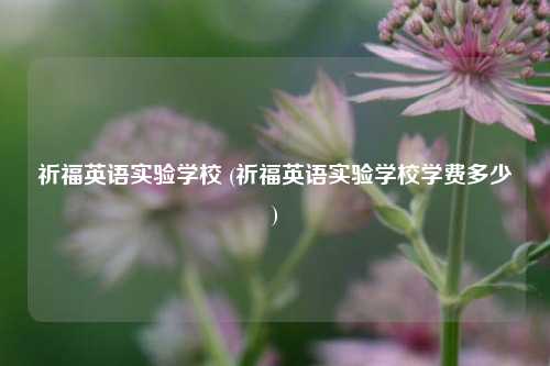 祈福英语实验学校 (祈福英语实验学校学费多少)