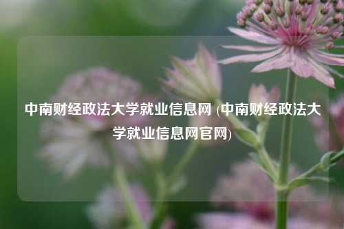 中南财经政法大学就业信息网 (中南财经政法大学就业信息网官网)