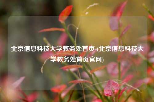 北京信息科技大学教务处首页 (北京信息科技大学教务处首页官网)