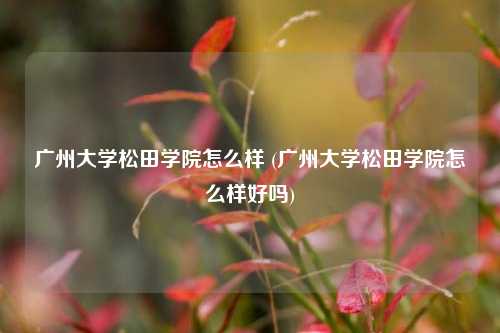 广州大学松田学院怎么样 (广州大学松田学院怎么样好吗)