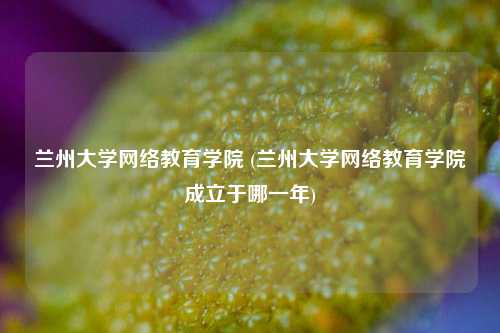 兰州大学网络教育学院 (兰州大学网络教育学院成立于哪一年)