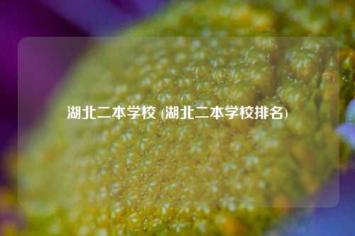 湖北二本学校 (湖北二本学校排名)