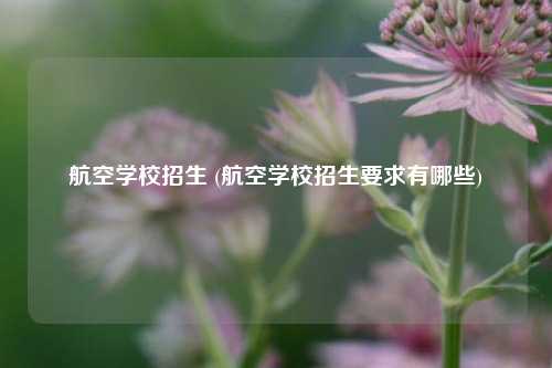 航空学校招生 (航空学校招生要求有哪些)