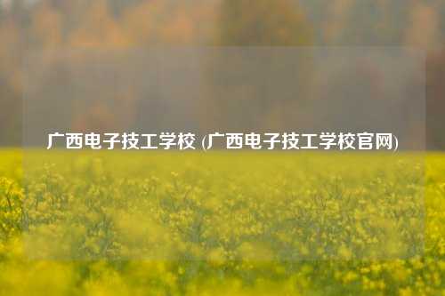 广西电子技工学校 (广西电子技工学校官网)