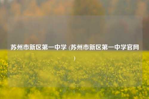 苏州市新区第一中学 (苏州市新区第一中学官网)