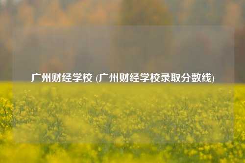 广州财经学校 (广州财经学校录取分数线)