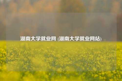 湖南大学就业网 (湖南大学就业网站)