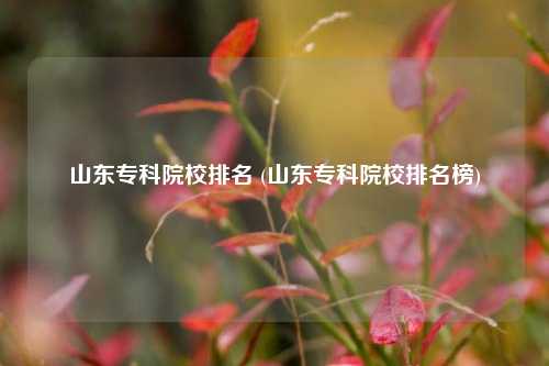 山东专科院校排名 (山东专科院校排名榜)