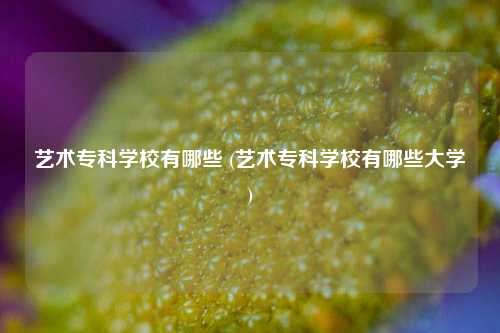 艺术专科学校有哪些 (艺术专科学校有哪些大学)