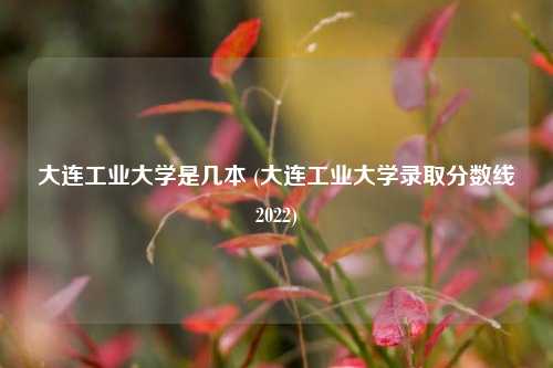 大连工业大学是几本 (大连工业大学录取分数线2022)