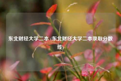 东北财经大学二本 (东北财经大学二本录取分数线)