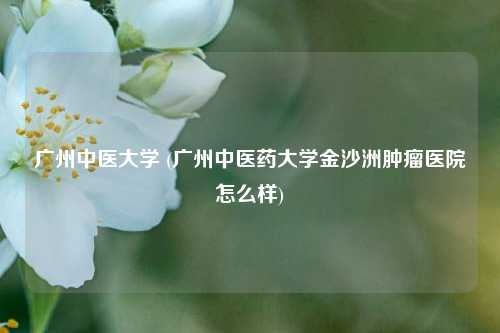 广州中医大学 (广州中医药大学金沙洲肿瘤医院怎么样)
