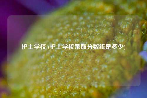 护士学校 (护士学校录取分数线是多少)