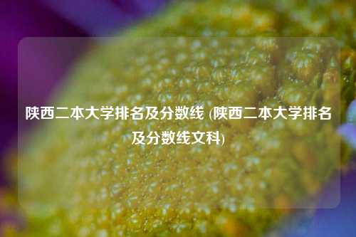 陕西二本大学排名及分数线 (陕西二本大学排名及分数线文科)