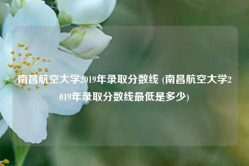 南昌航空大学2019年录取分数线 (南昌航空大学2019年录取分数线最低是多少)