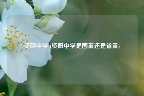 资阳中学 (资阳中学是国重还是省重)