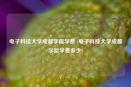 电子科技大学成都学院学费 (电子科技大学成都学院学费多少)