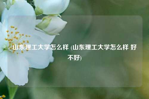 山东理工大学怎么样 (山东理工大学怎么样 好不好)