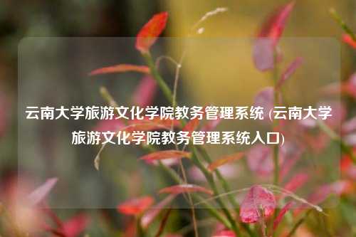 云南大学旅游文化学院教务管理系统 (云南大学旅游文化学院教务管理系统入口)