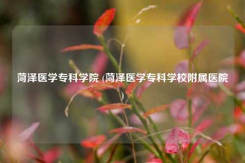 菏泽医学专科学院 (菏泽医学专科学校附属医院)