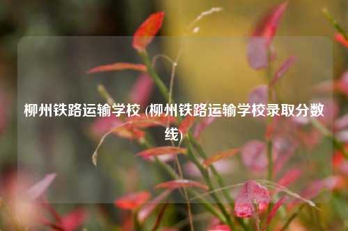 柳州铁路运输学校 (柳州铁路运输学校录取分数线)