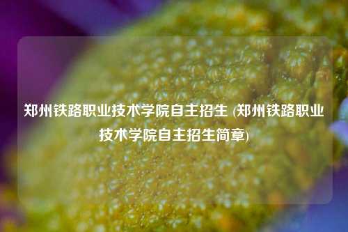 郑州铁路职业技术学院自主招生 (郑州铁路职业技术学院自主招生简章)