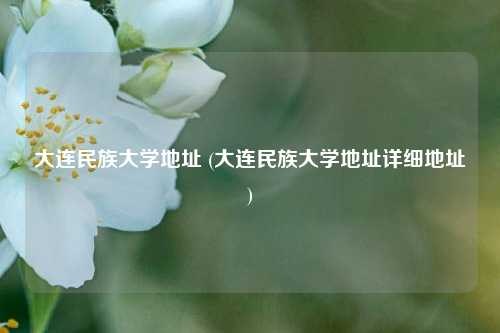 大连民族大学地址 (大连民族大学地址详细地址)