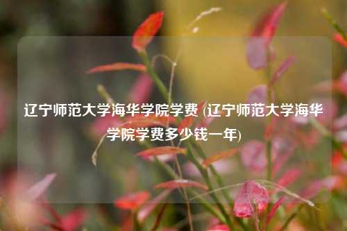 辽宁师范大学海华学院学费 (辽宁师范大学海华学院学费多少钱一年)