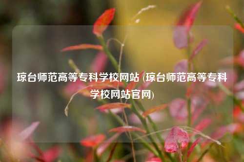 琼台师范高等专科学校网站 (琼台师范高等专科学校网站官网)