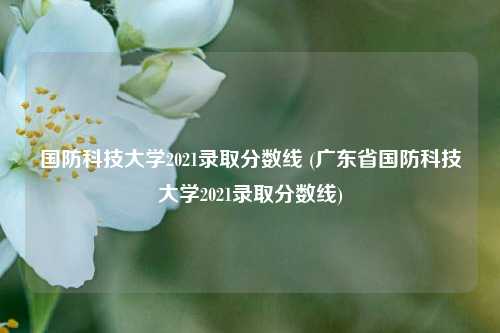 国防科技大学2021录取分数线 (广东省国防科技大学2021录取分数线)