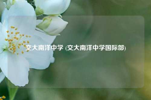 交大南洋中学 (交大南洋中学国际部)