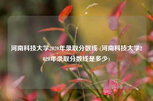 河南科技大学2020年录取分数线 (河南科技大学2020年录取分数线是多少)