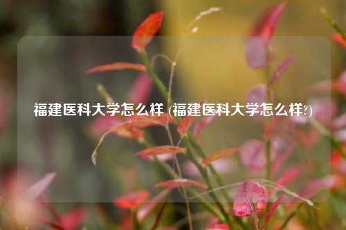 福建医科大学怎么样 (福建医科大学怎么样?)