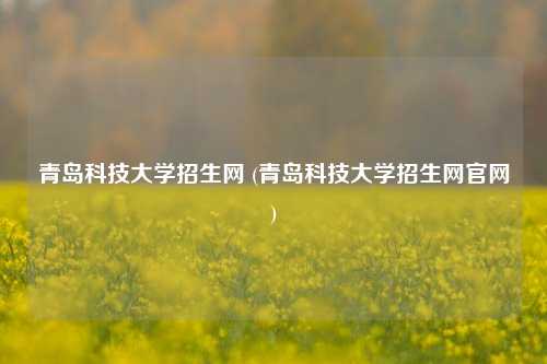 青岛科技大学招生网 (青岛科技大学招生网官网)