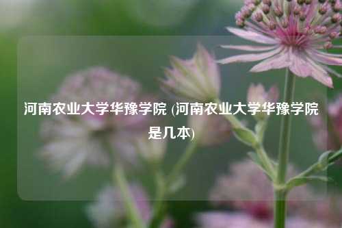 河南农业大学华豫学院 (河南农业大学华豫学院是几本)