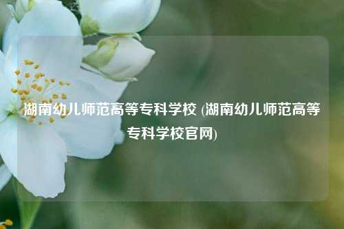 湖南幼儿师范高等专科学校 (湖南幼儿师范高等专科学校官网)
