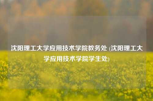 沈阳理工大学应用技术学院教务处 (沈阳理工大学应用技术学院学生处)