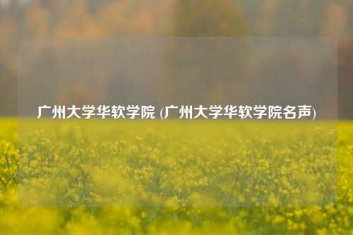 广州大学华软学院 (广州大学华软学院名声)